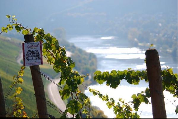 Wein- Und Gaestehaus Genetsch Лизер Екстериор снимка