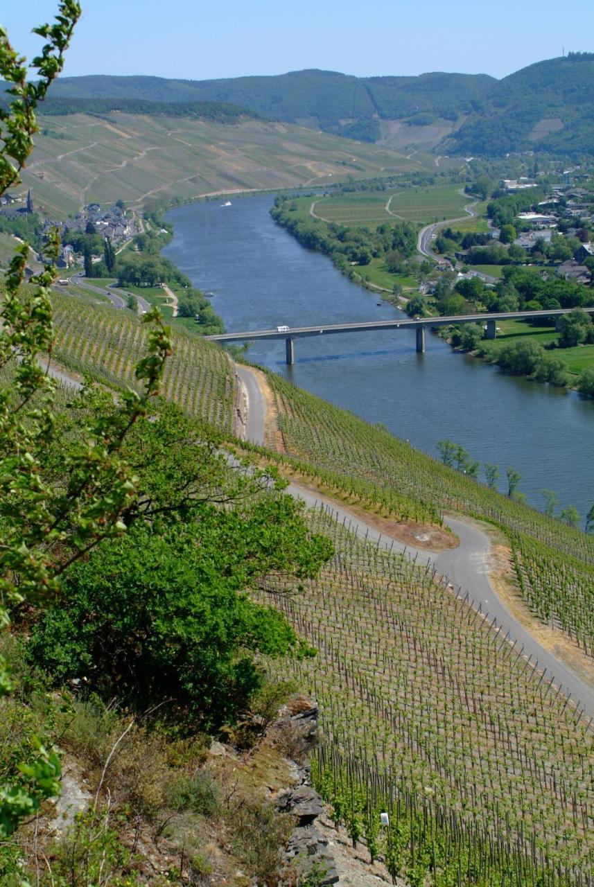 Wein- Und Gaestehaus Genetsch Лизер Екстериор снимка