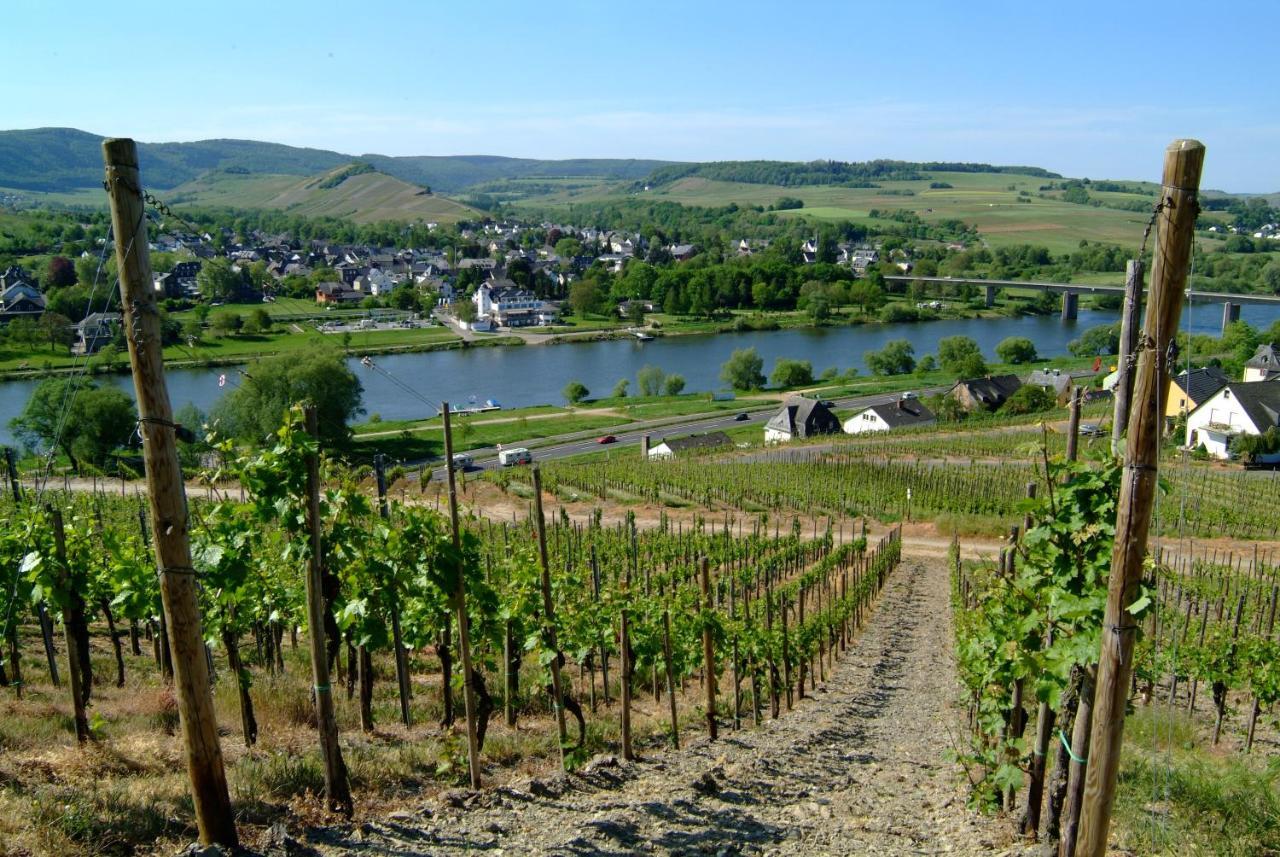 Wein- Und Gaestehaus Genetsch Лизер Екстериор снимка