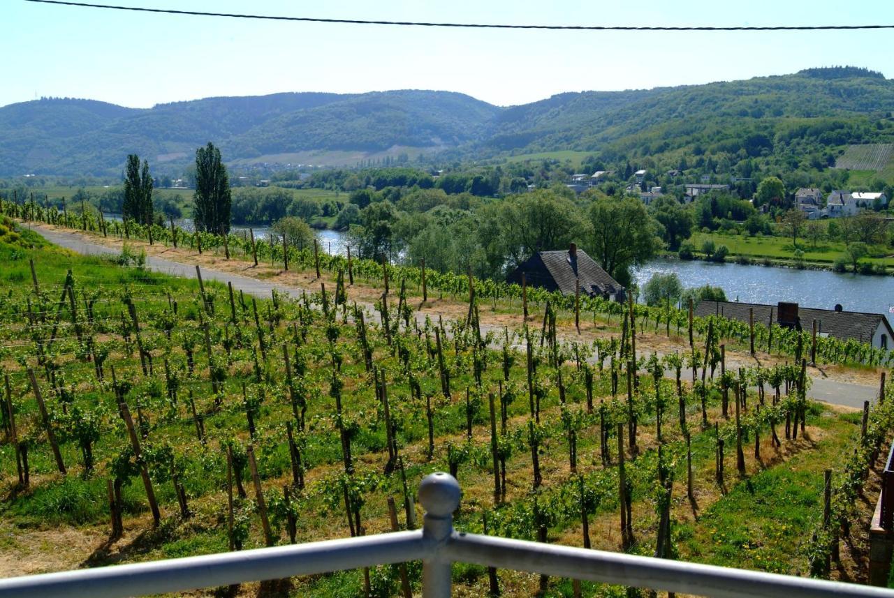 Wein- Und Gaestehaus Genetsch Лизер Екстериор снимка