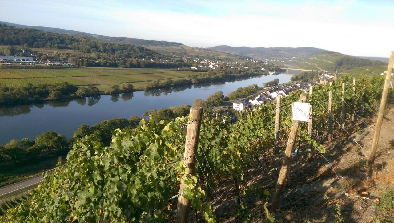 Wein- Und Gaestehaus Genetsch Лизер Екстериор снимка