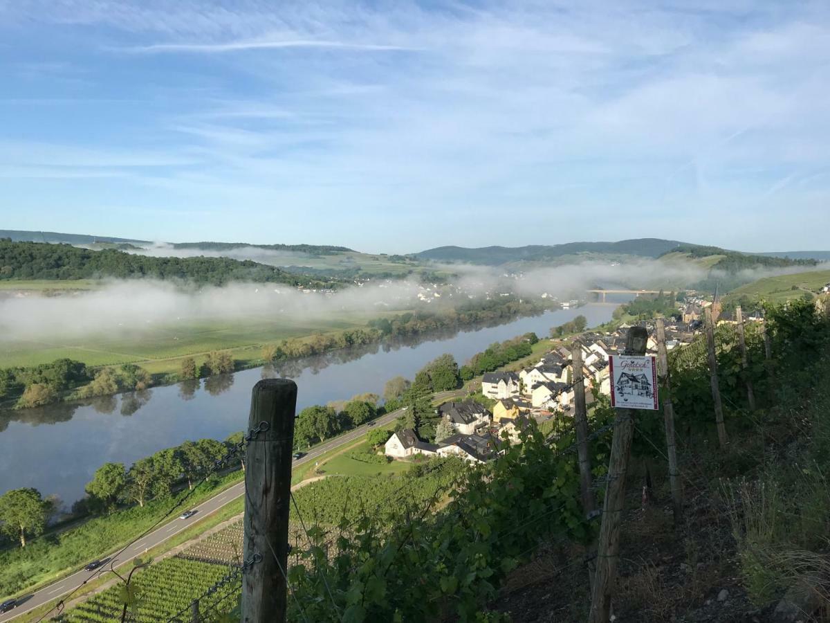 Wein- Und Gaestehaus Genetsch Лизер Екстериор снимка